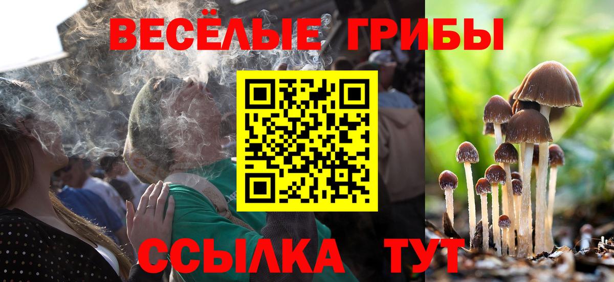 Фурманов  Галлюциногенные грибы Psilocybe  Псилоцибиновые грибы прущие грибы  Вход с VPN 